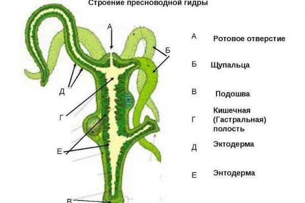 Зеркала кракен kraken014 com kraken014 com