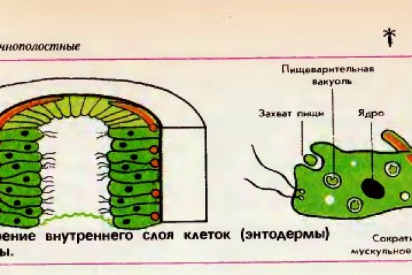 Войти в кракен вход магазин