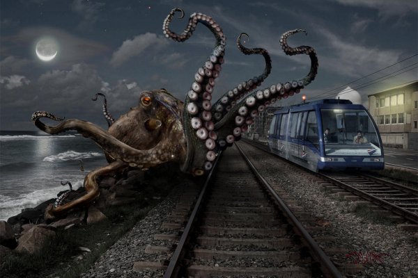 Kraken russia